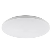 Потолочный cветильник Nowodvorski Agnes Round Led Pro White 10981