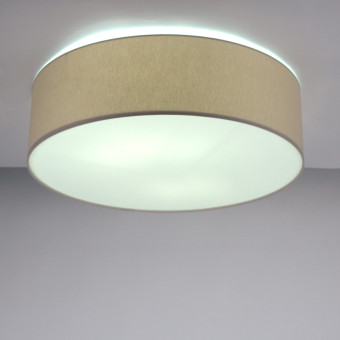 Потолочный светильник Lighthall Camerona 65 LH022006