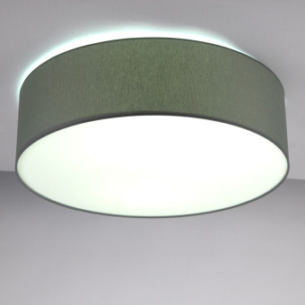 Потолочный светильник Lighthall Camerona 65 LH022028