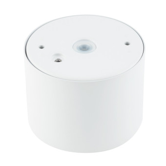 Потолочный cветильник Nowodvorski Bol White 10483