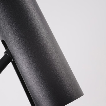 Потолочный cветильник Nowodvorski Eye Super A Black 6502