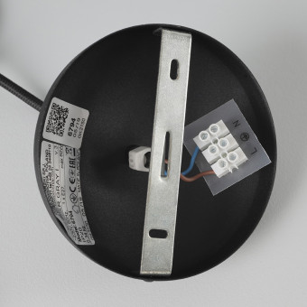 Подвесной светильник Nowodvorski Spider Black 6792