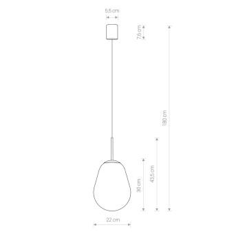 Подвесной светильник Nowodvorski Pear S Transparent/Black 7800