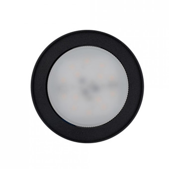 Потолочный cветильник Nowodvorski Flea Black 8203