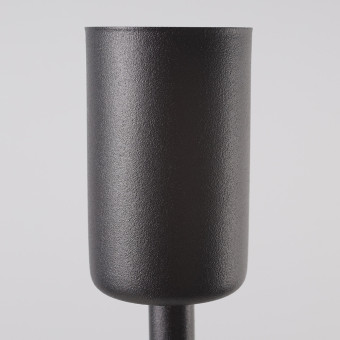 Потолочная люстра Nowodvorski Twig Black 9138