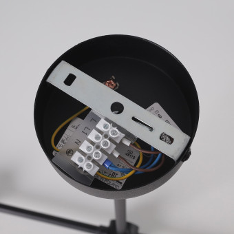 Потолочная люстра Nowodvorski Twig Black 9138