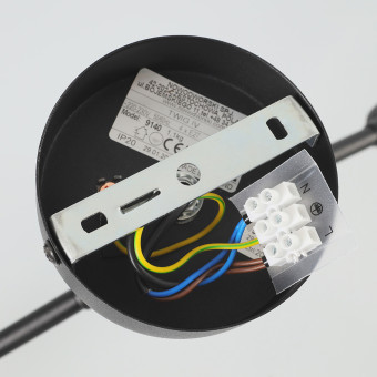 Потолочная люстра Nowodvorski Twig Black 9140