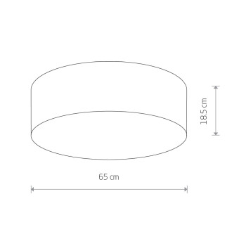 Потолочный cветильник Nowodvorski Cameron Gray 9682