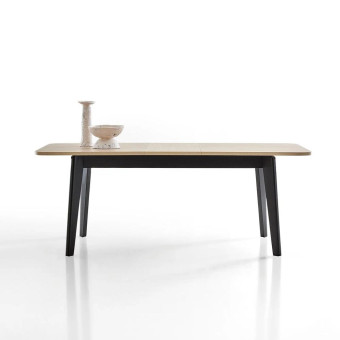 Стол обеденный раздвижной ENZA HOME TERRA EH68268